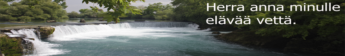 Mikko Lahden uudet kotisivut