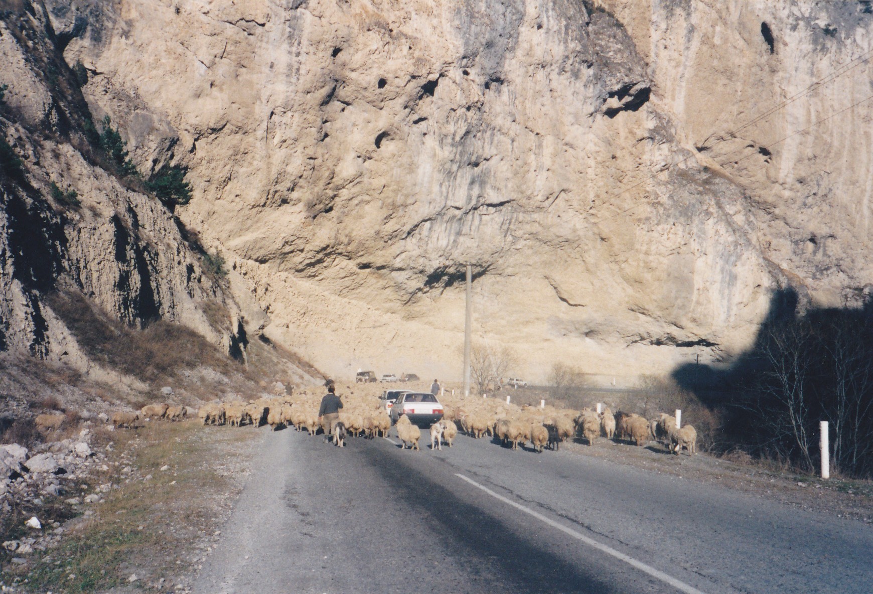 C:UsersMikkoPicturesMP Navigator EX2013_02_25IMG_0006.jpg